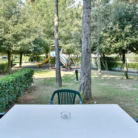 Girasoli ביביונה