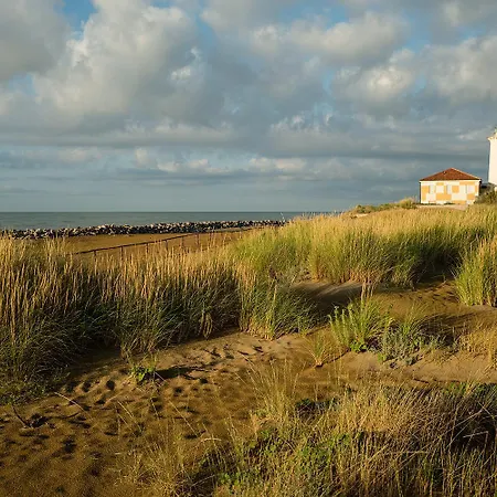 Girasoli 비비오네